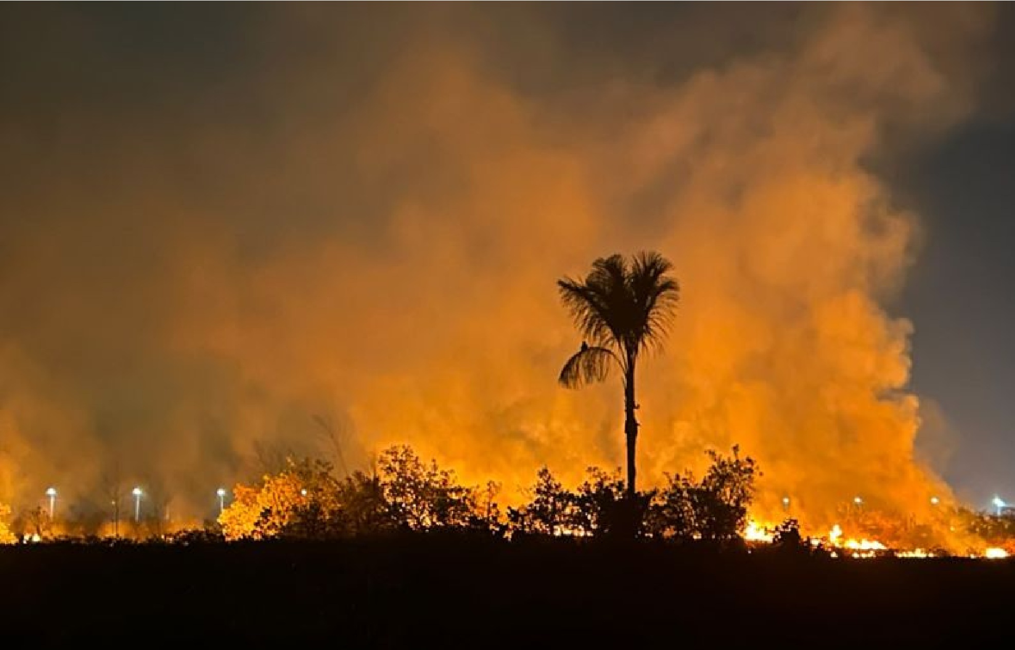 Incêndio consome área equivalente a 50 campos de futebol em Iranduba, no Amazonas