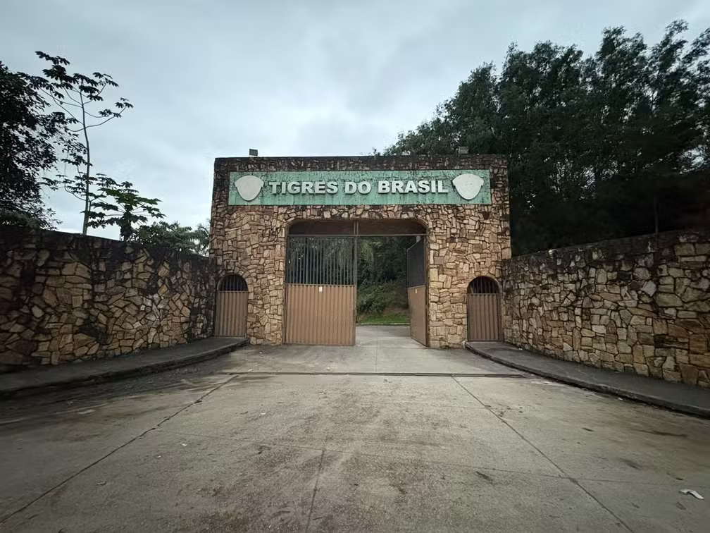 Tigres do Brasil: da estrutura de ponta à quinta divisão do Rio