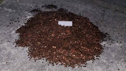 Pai joga 80 mil moedas de 1 centavo na casa da ex-esposa como "último pagamento" da pensão; filha dá resposta exemplar
